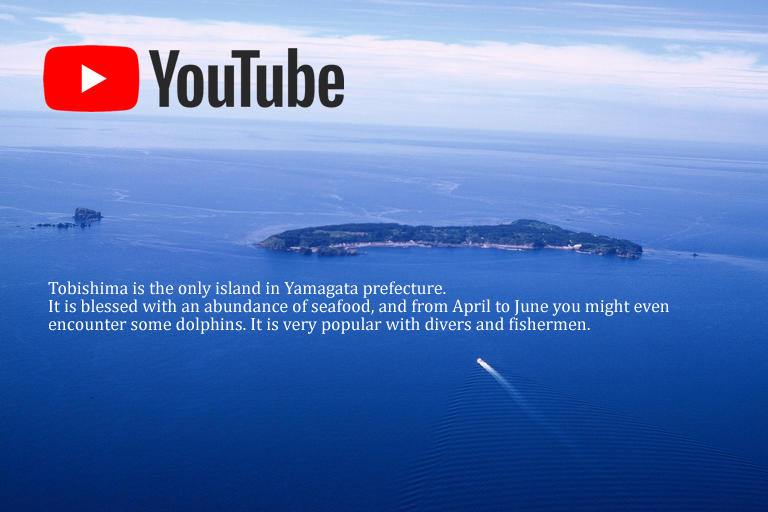 SakataTenScenicSites01tobishima